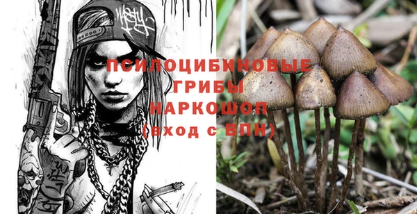 каннабис Аркадак