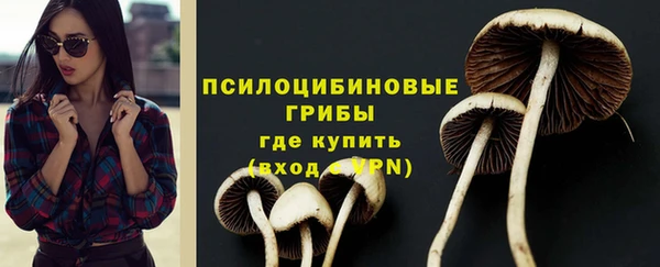 экстази Медвежьегорск